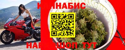 каннабис Донской