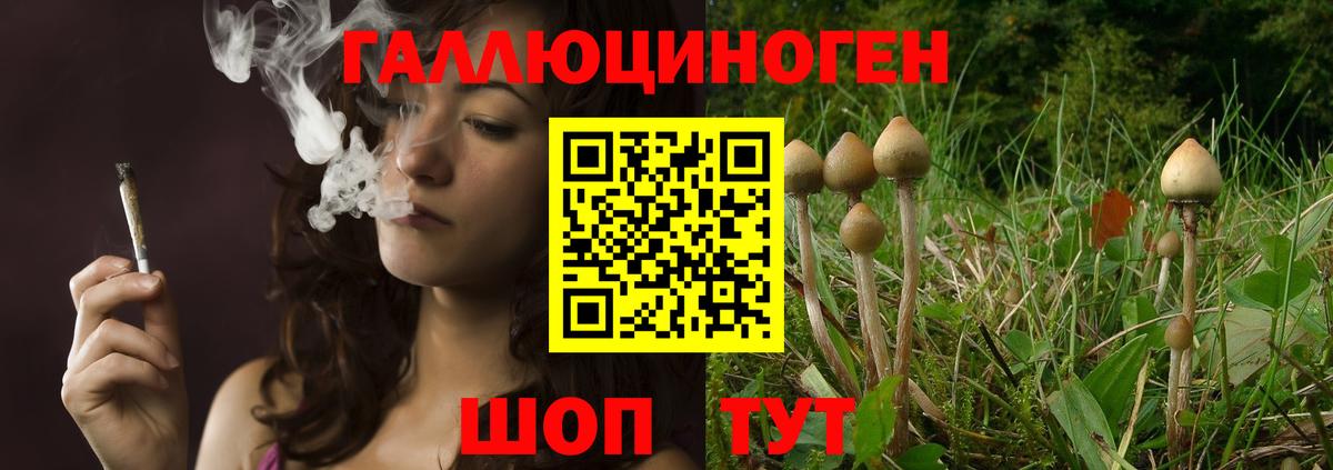 Галлюциногенные грибы ЛСД Кыштым