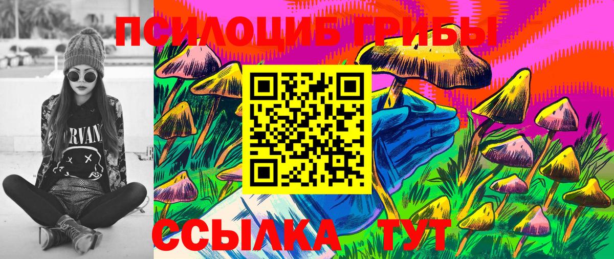 Псилоцибиновые грибы Psilocybine cubensis  Вход с VPN  Кыштым 